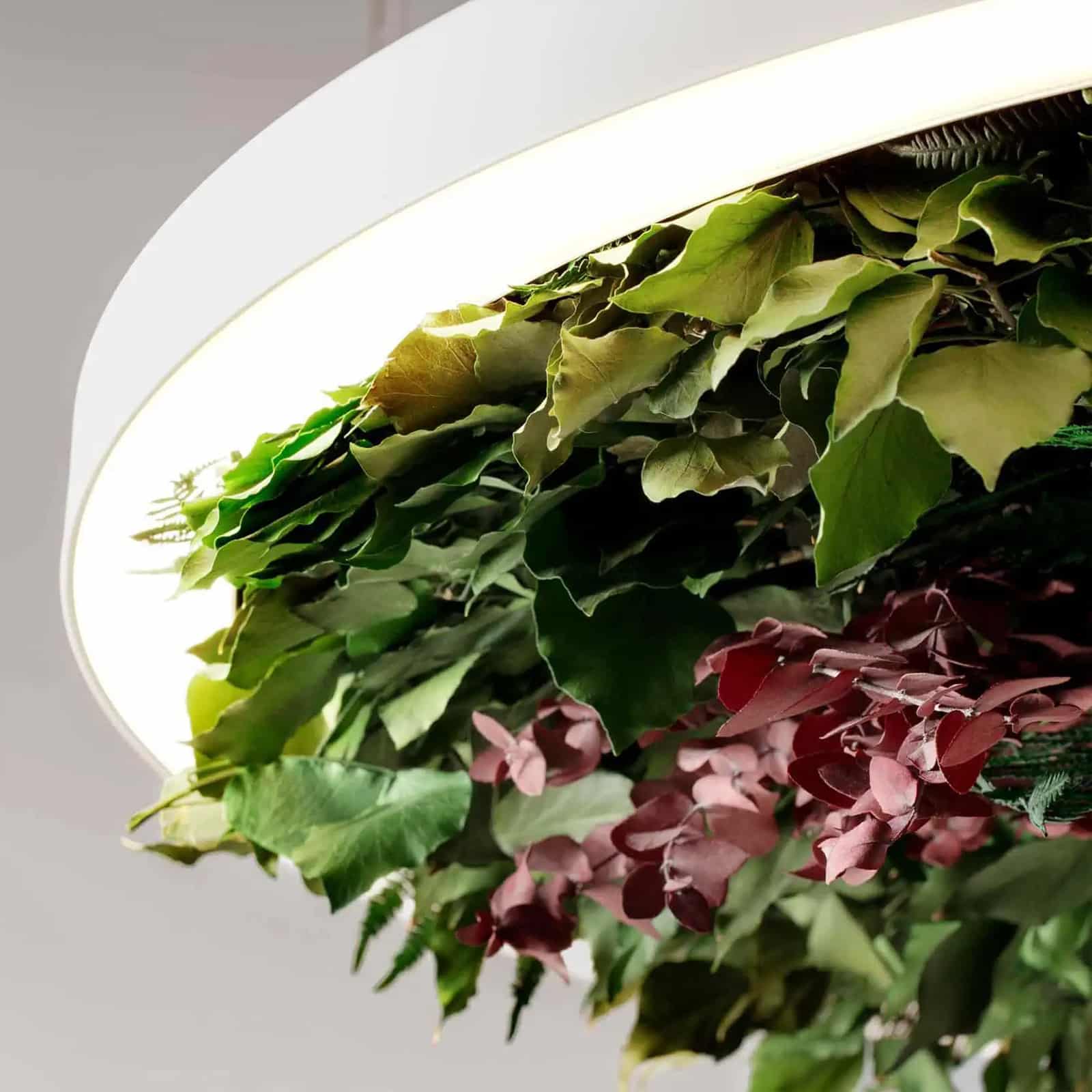 Immagine contenente lampade di design di un progetto o in vendita presso Casa delle lampadine